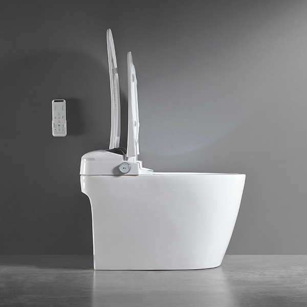 Automatische Fußspültoilette, intelligentes Toiletten-Bidet