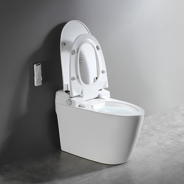 Automatische Fußspültoilette, intelligentes Toiletten-Bidet