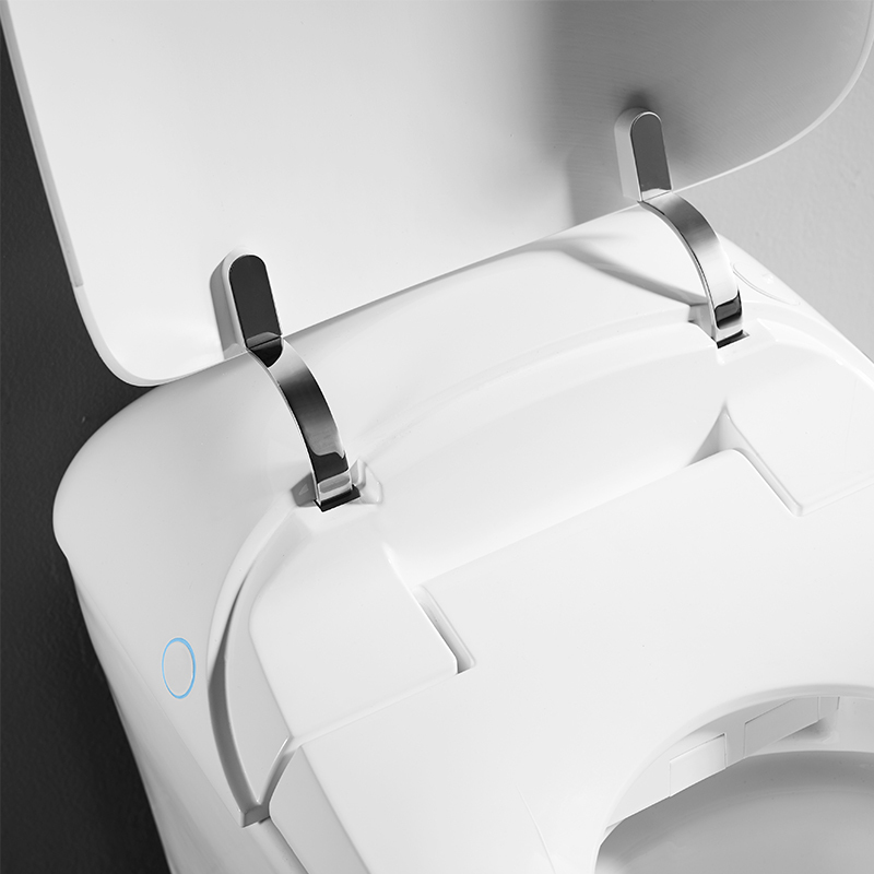 Luxury Streamline Fragrance Intelligent Smart Toilet