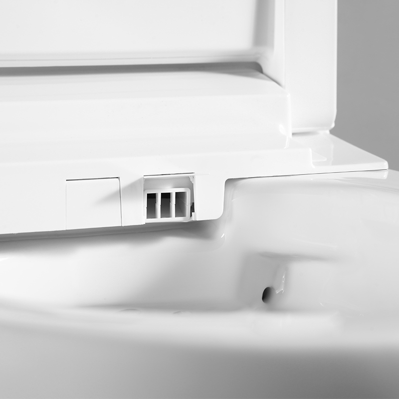 Inodoro inteligente con cisterna oculta colgada en la pared