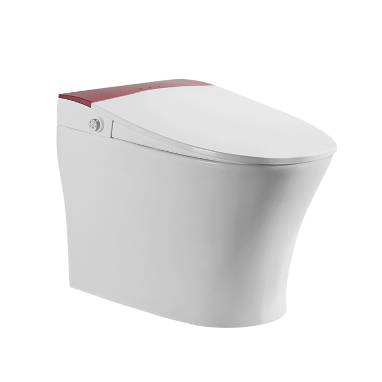 elegant design toilet