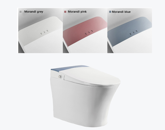 How to choose the smart toilet