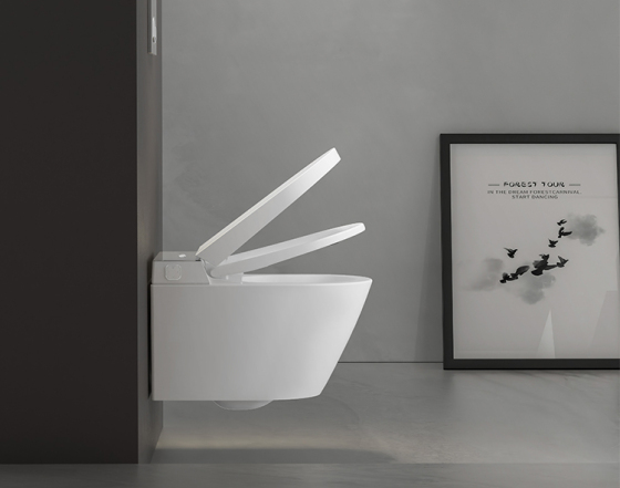 5 Advantages of Wall Mounted Toilets