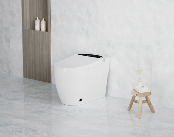 Warum die Verwendung einer intelligenten Toilette gesünder ist, hier ist die Antwort