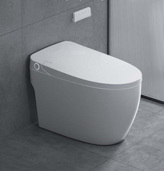 cost-effective smart toilet
