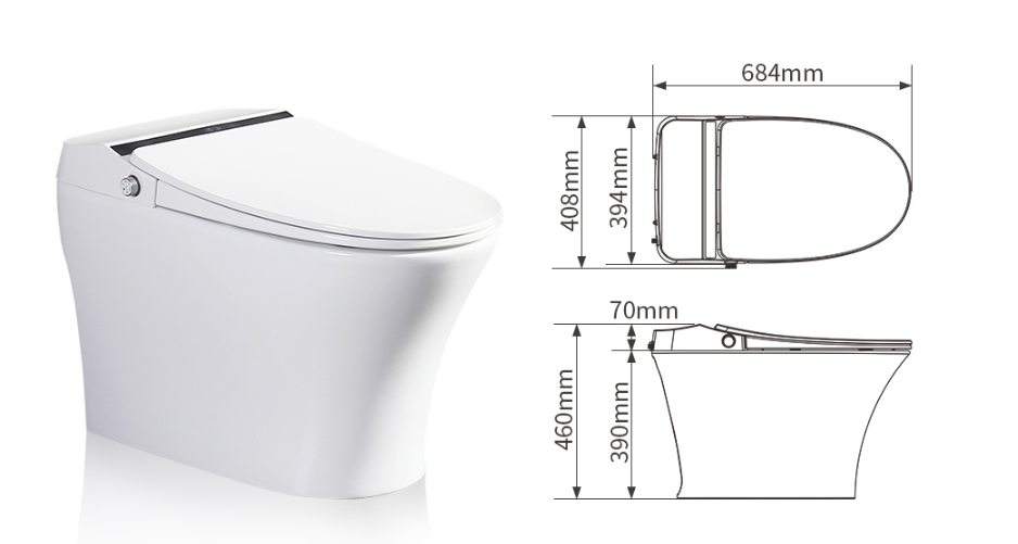 Floor Mounted Strap Intelligent Toilet