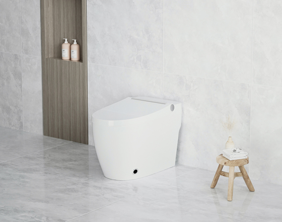 Einteilige intelligente Toilette YCB18G/-A/-B