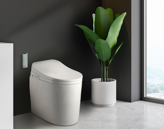 360 ° wasserdichte intelligente Toilette: YC118G