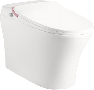 ceramic smart toilet