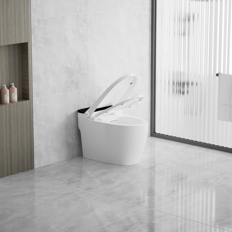 Интеллектуальный туалет с автоматическим смывом Smart Bide 110 В