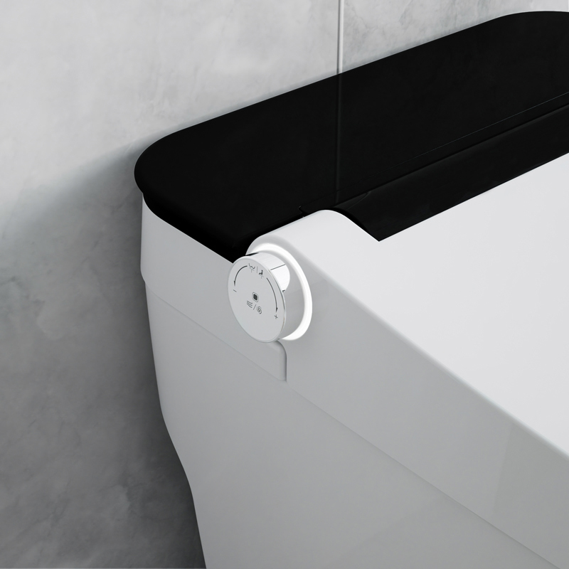 Интеллектуальный туалет с автоматическим смывом Smart Bide 110 В