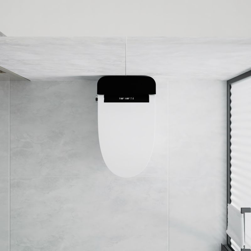 Einteiliges intelligentes WC-Bidet mit automatischer Spülung