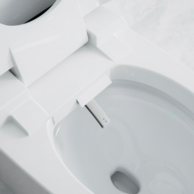 Einteiliges intelligentes WC-Bidet mit automatischer Spülung