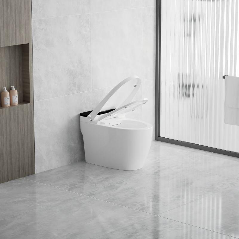 Einteiliges intelligentes WC-Bidet mit automatischer Spülung