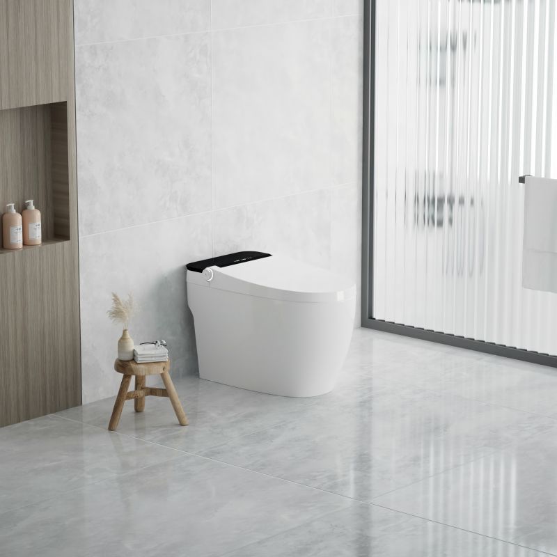 Einteiliges intelligentes WC-Bidet mit automatischer Spülung