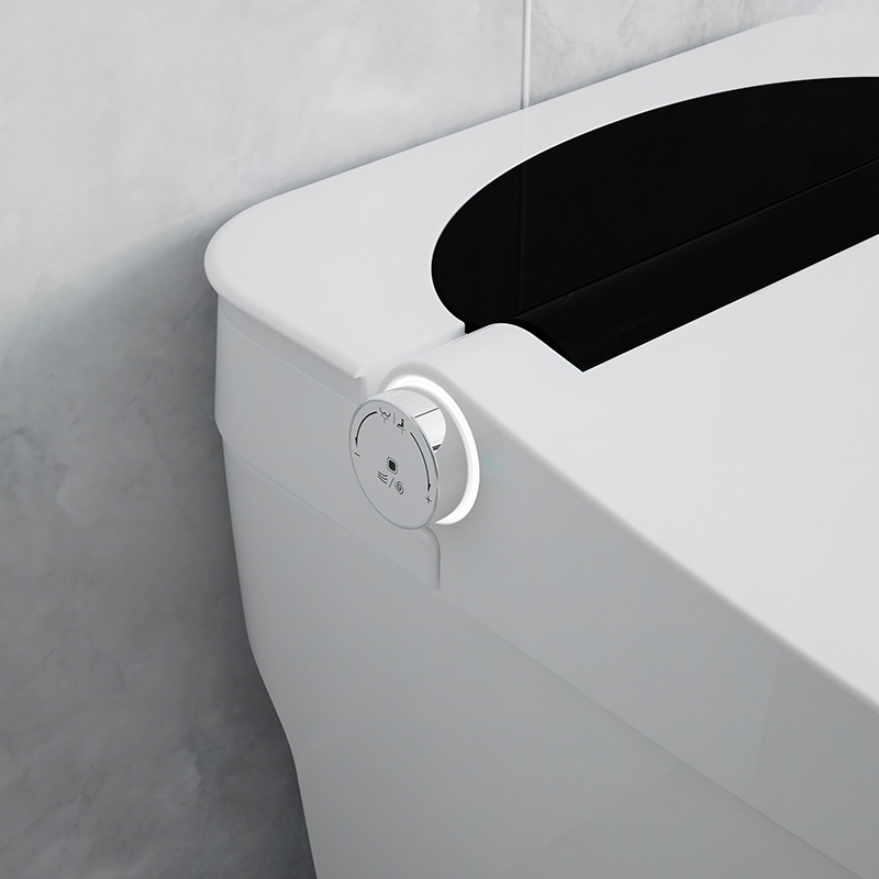 Fashion Intelligent Automatic Smart Toilet Bidet