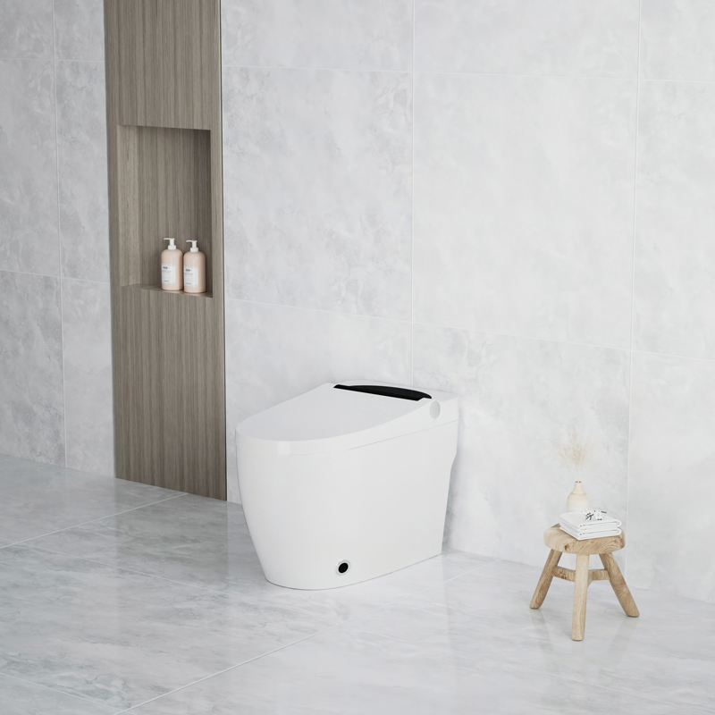 Fashion Intelligent Automatic Smart Toilet Bidet