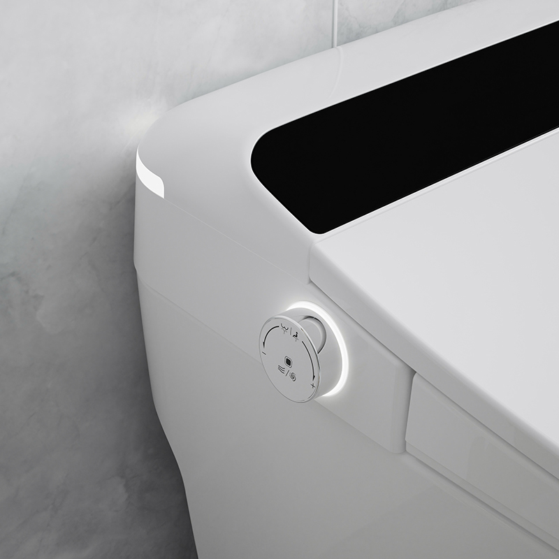 Deodorization With Atmosphere Lamp Smart Toilet Bidet