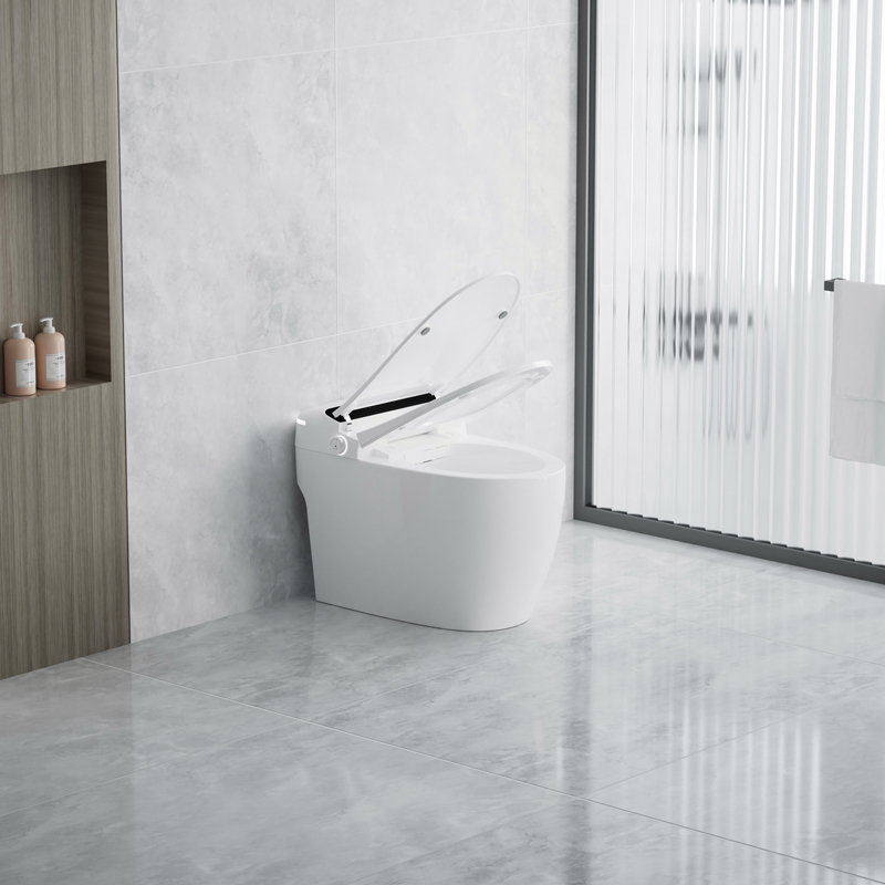 Deodorization With Atmosphere Lamp Smart Toilet Bidet