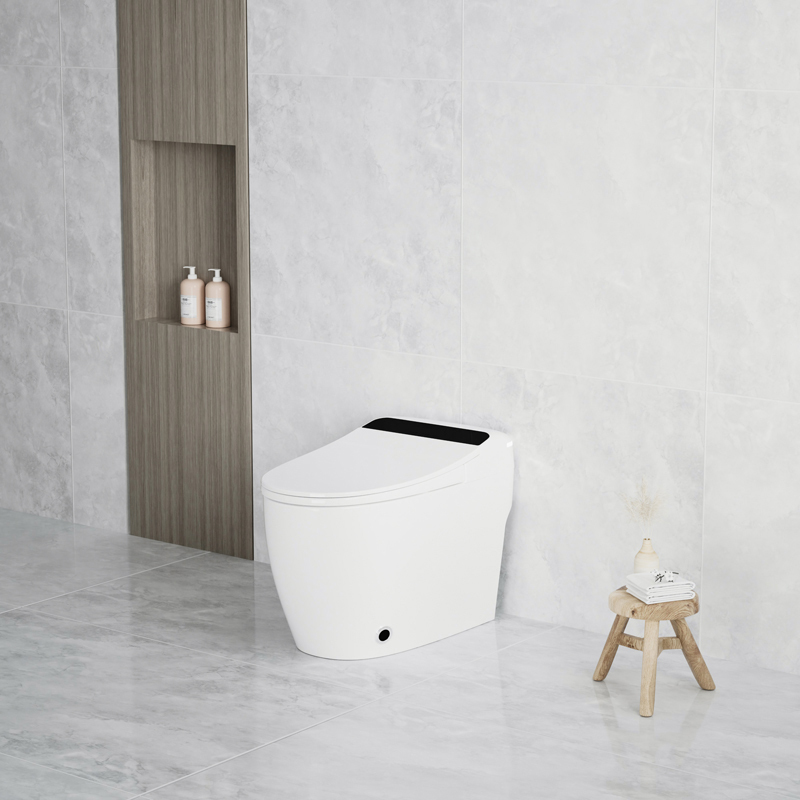 Deodorization With Atmosphere Lamp Smart Toilet Bidet