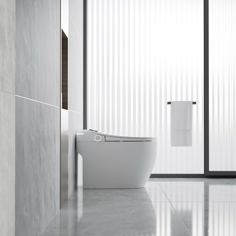 Deodorization With Atmosphere Lamp Smart Toilet Bidet