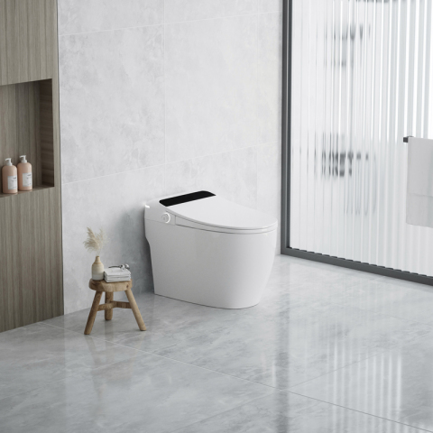 Deodorization With Atmosphere Lamp Smart Toilet Bidet