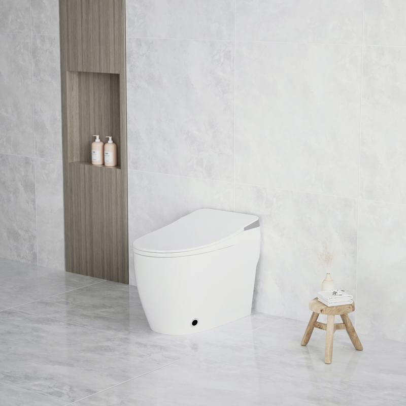 กาลักน้ำ ฟลัช โถปัสสาวะหญิง ยูวี ฆ่าเชื้อ ฉลาด ห้องน้ำ