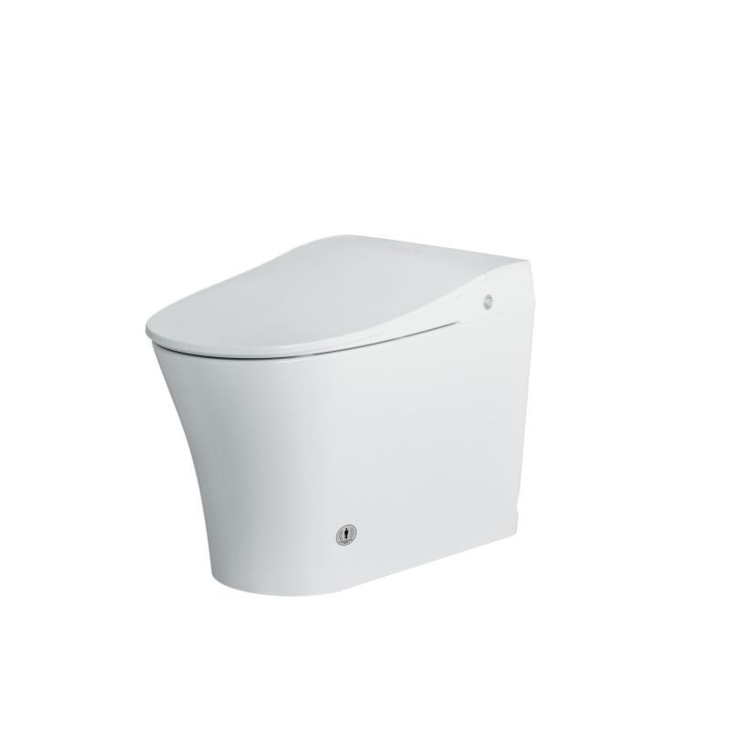 Australian Standard Auto Flush Luxury Smart Toilet