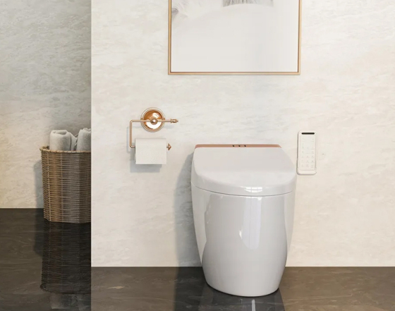 You need a smart toilet even more in winter