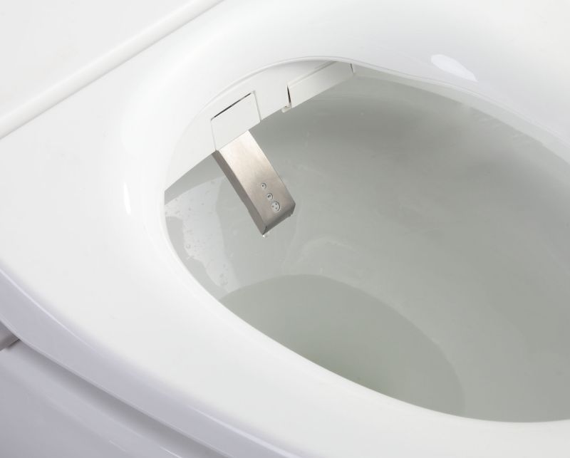 Automatic Sensor Flushing Intelligent Bidet Toilet