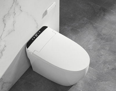 Smart Toilet Customised Case-Receiving Positive Comments From Customers