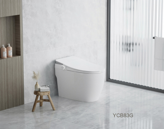 Ultra-thin Toilet Cover Smart Bidet: YCB83G