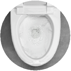 self clean smart toilet