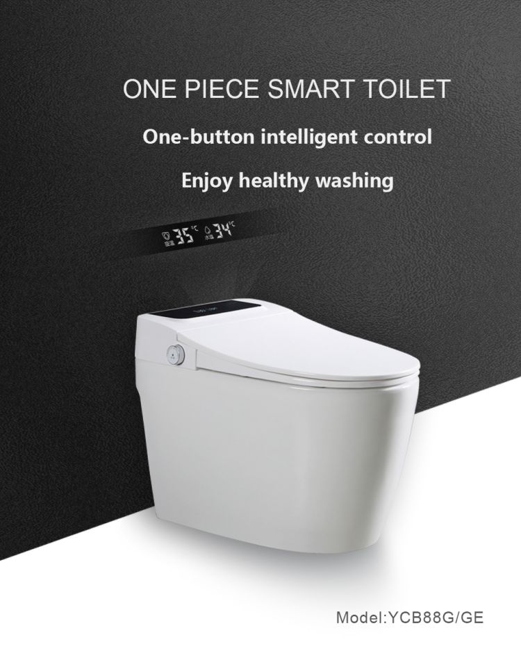 HD display intelligent toilet