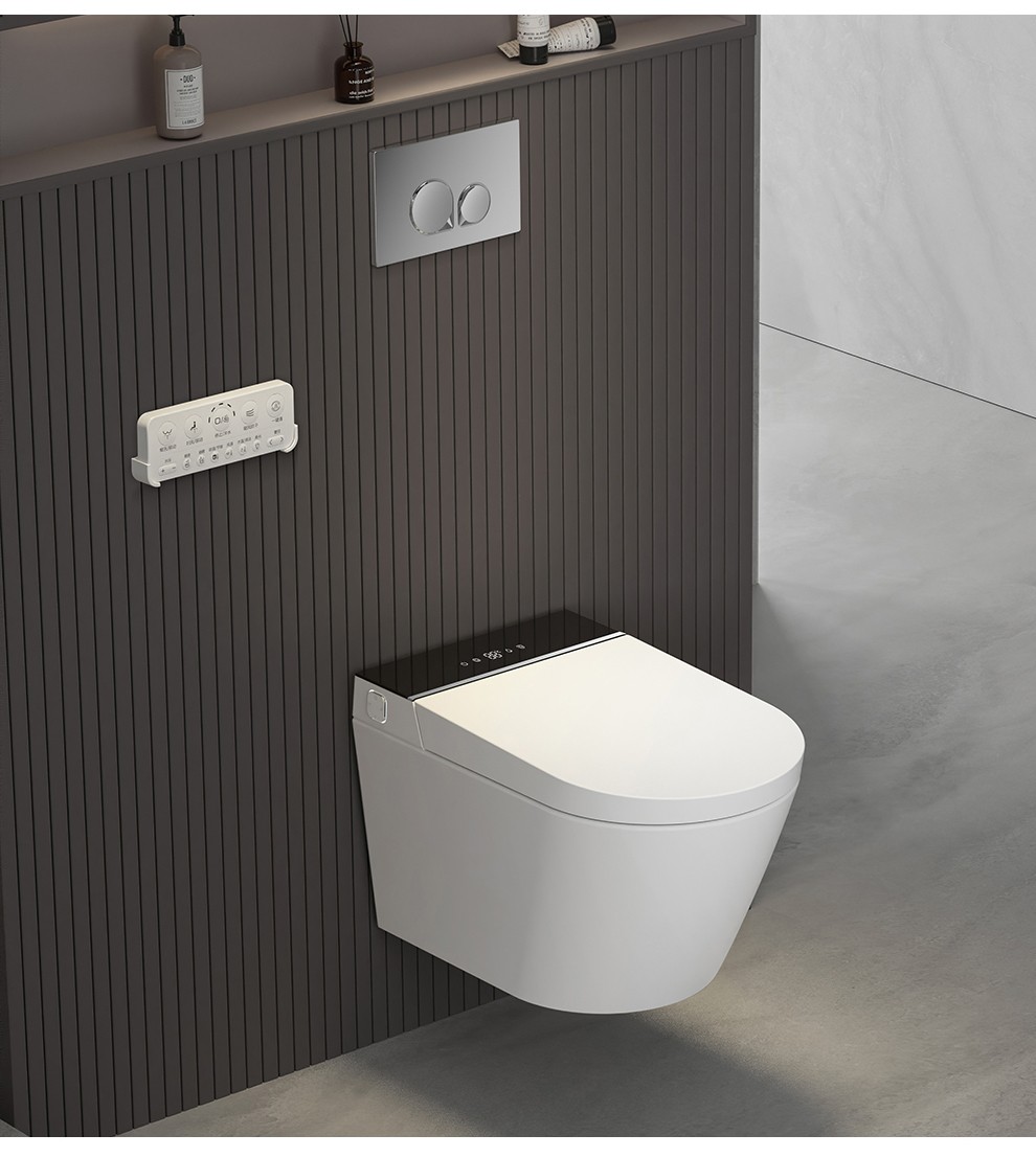 wall mounted smart toilet