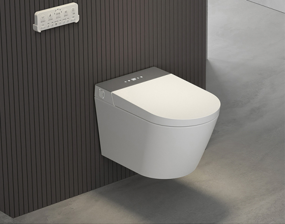 Intelligente Wandtoilette mit verdecktem Spülkasten: YCD19G-L2