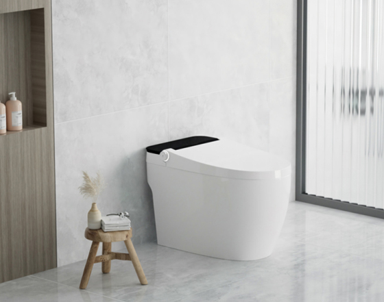 Auto flushing Intelligent Toilet: YCB28G