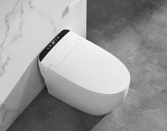 Warum Menschen intelligente Toiletten brauchen