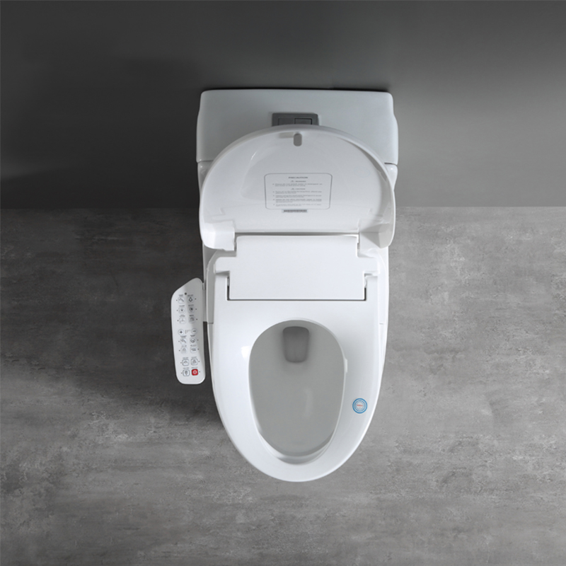 smart toilet seat