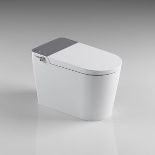 Display Intelligent Luxury Toilet With Bubble Layer