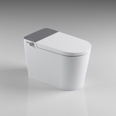 Display Intelligent Luxury Toilet With Bubble Layer