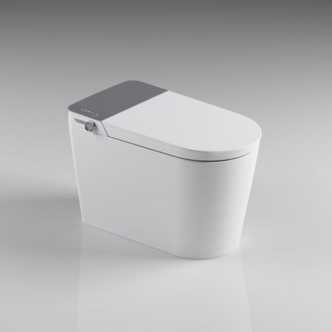 Display Intelligent Luxury Toilet With Bubble Layer