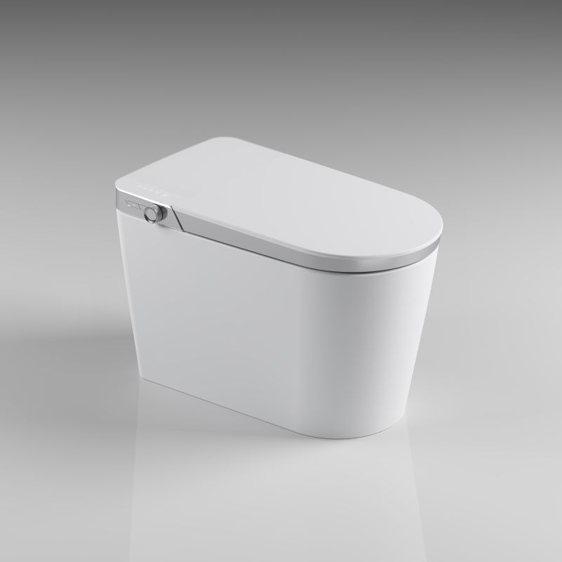 Display Intelligent Luxury Toilet With Bubble Layer
