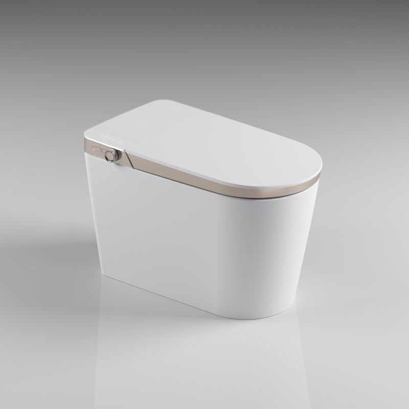 Display Intelligent Luxury Toilet With Bubble Layer