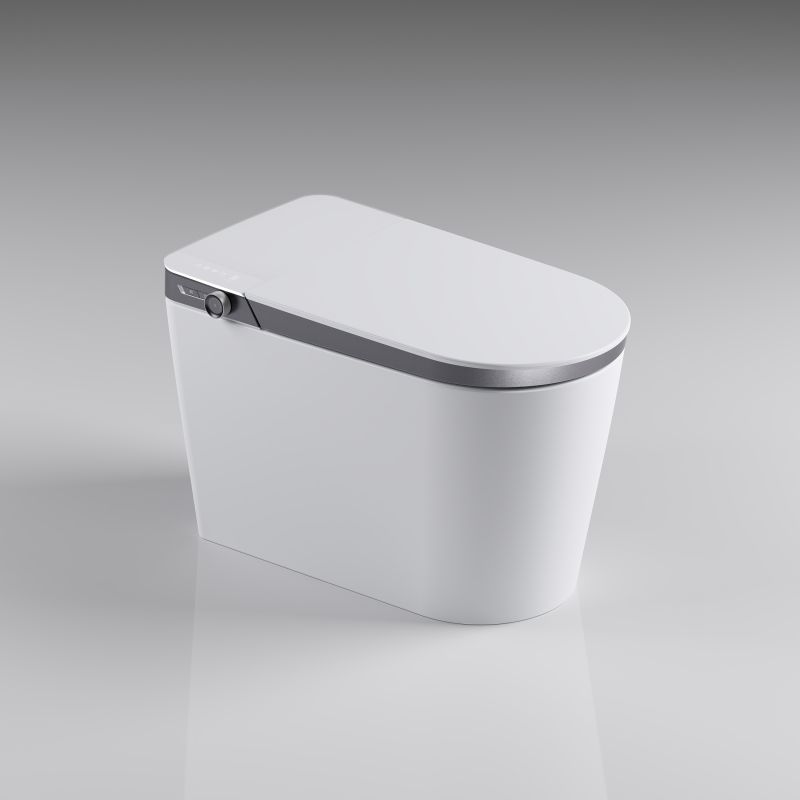 Display Intelligent Luxury Toilet With Bubble Layer