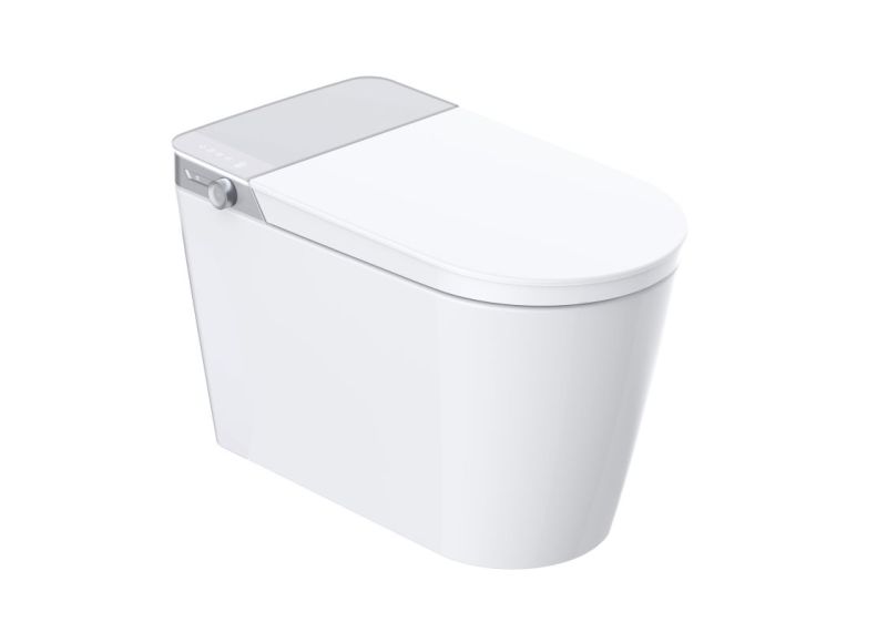 Display Intelligent Luxury Toilet With Bubble Layer