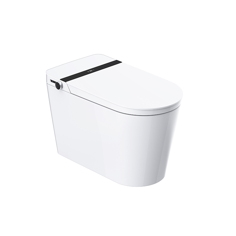 Luxus-Smart-Toilette mit benutzerdefinierter automatischer Sensorspülung und zwei benutzerdefinierten Funktionen