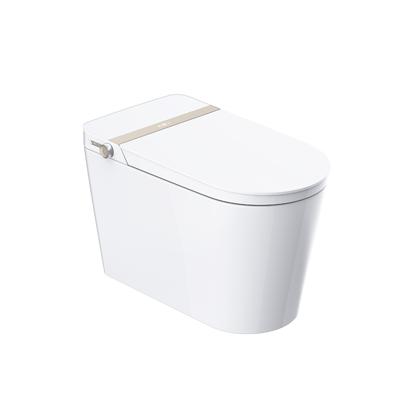 Luxus-Smart-Toilette mit benutzerdefinierter automatischer Sensorspülung und zwei benutzerdefinierten Funktionen