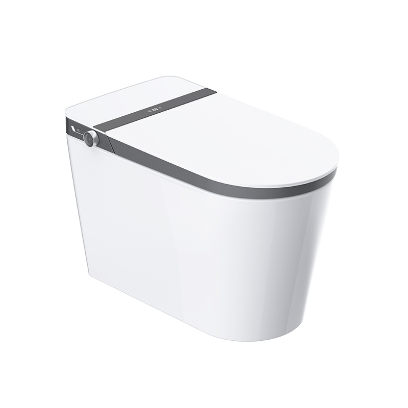Luxus-Smart-Toilette mit benutzerdefinierter automatischer Sensorspülung und zwei benutzerdefinierten Funktionen