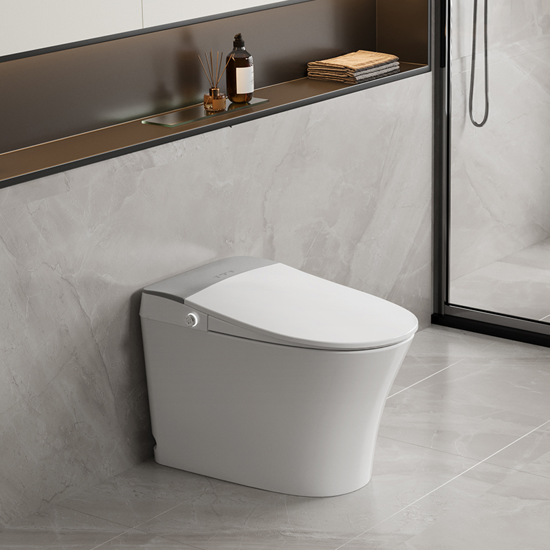 Australian Standard Auto Flush Luxury Smart Toilet